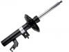 Shock Absorber:E43025MS1C