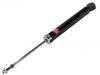 Shock Absorber:E62106UA1B