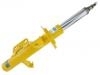 Shock Absorber:20310 CA021