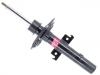 Shock Absorber:543027894R