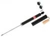 Shock Absorber:4181084M00